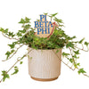 Pi Beta Phi Logo Color Plant Stake