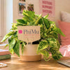 Phi Mu Motto Color Plant Stake