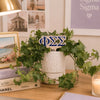 Phi Sigma Sigma Letters Color Plant Stake