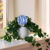 Phi Sigma Sigma Monogram Color Plant Stake