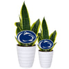 Penn State Nittany Lion Acrylic Plant Stake