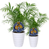 Penn State Mascot Acrylic Plant Stake