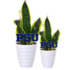 Penn State PSU Acrylic Plant Stake