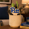 University of Pittsburgh "Pitt" Color Plant Stake