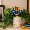 University of Pittsburgh Paw Color Plant Stake