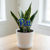University of Pittsburgh "Pitt" Acrylic Plant Stake