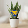 University of Pittsburgh Roc Acrylic Plant Stake
