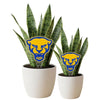 University of Pittsburgh Roc Acrylic Plant Stake