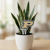 Purdue Acrylic Plant Stake