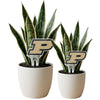 Purdue Acrylic Plant Stake
