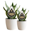 Purdue Train Acrylic Plant Stake