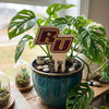 Rowan University 'RU' Color Plant Stake