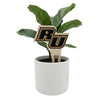 Rowan University 'RU' Color Plant Stake