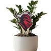 Rutgers University Knight Color Plant Stake