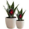Rutgers University Knight Acrylic Plant Stake