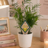 Sigma Alpha Crest Color Plant Stake