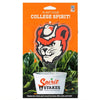 Sam Houston Bearkat Acrylic Stake