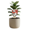 Sam Houston State Bearkat Color Plant Stake