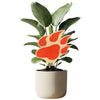 Sam Houston State Paw Color Plant Stake