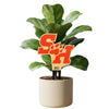 Sam Houston State 'SH' Color Plant Stake