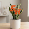 Sam Houston SH Acrylic Stake