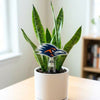 Texas at San Antonio Roadrunner Head Acrylic Plant Stake