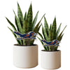 Texas at San Antonio Roadrunner Acrylic Plant Stake