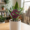 South Carolina 'SC' Acrylic Plant Stake