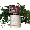 South Carolina Script Color Plant Stake