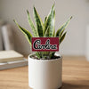 South Carolina Script Acrylic Plant Stake