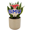 Southern Methodist 'SMU" Color Plant Stake