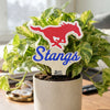 Southern Methodist 'Stangs" Color Plant Stake