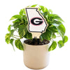 University of Georgia State Color Plant Stake