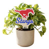 Southern Methodist 'Stangs" Color Plant Stake