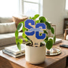 Spelman College 'SC' Color Plant Stake