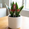 Stanford Athletic Logo Acrylic Plant Stake