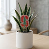 Stanford Logo Acrylic Plant Stake
