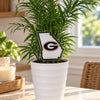 University of Georgia State Acrylic Plant Stake