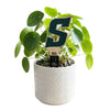 Stetson University Letter Color Plant Stake