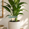 Stetson University Script Color Plant Stake