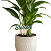 Stetson University Script Color Plant Stake