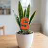 Syracuse University 'S' Acrylic Plant Stake