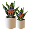 Syracuse University Otto the Orange Acrylic Plant Stake