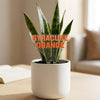 Syracuse University Acrylic Plant Stake