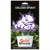 TCU Frog Acrylic Stake