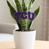 TCU TCU Acrylic Stake