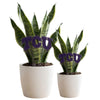TCU TCU Acrylic Stake