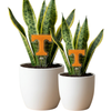 Tennessee Power T Acrylic Plant Stake