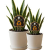 Tennessee Smokey Acrylic Plant Stake