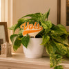 Tennessee Vols Color Plant Stake